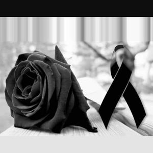 Meet your Posher, Jose